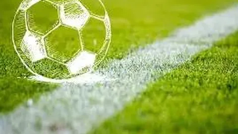 韦德体育 资讯 110326 zgq